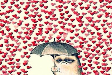 cat single valentines